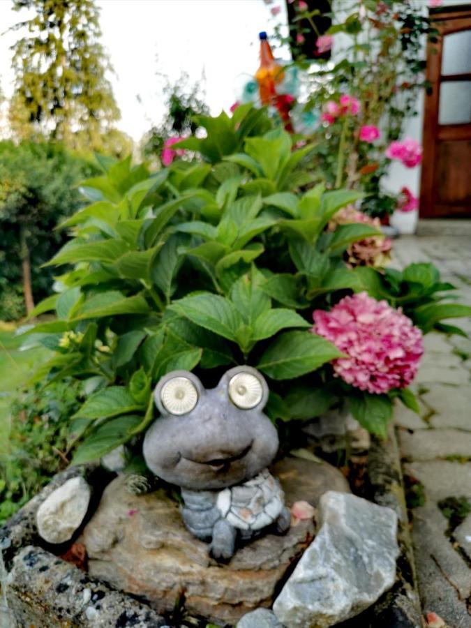 Pension Treissmann Pichling bei Stainz エクステリア 写真